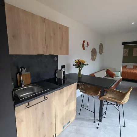 L'hortensia Rose * Guémar