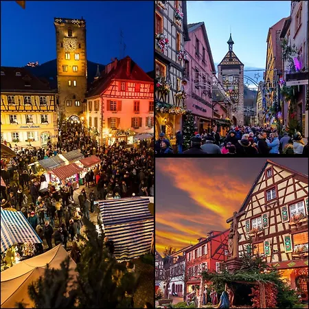 L'hortensia Rose * Guémar