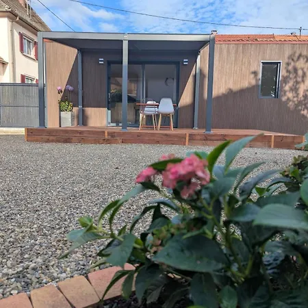 L'hortensia Rose Guémar