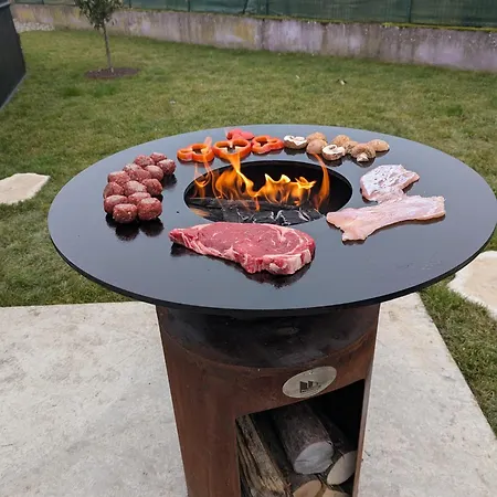 L'hortensia Rose Guémar