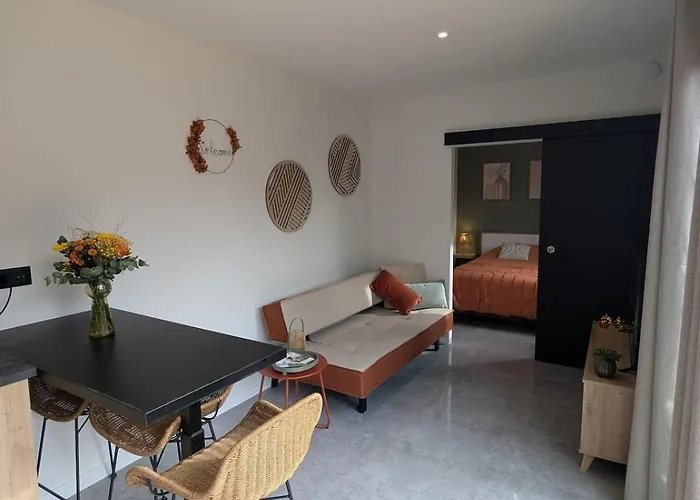 L'hortensia Rose 別荘 *